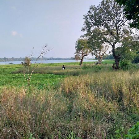 Lake Cabin 波隆纳鲁沃 外观 照片