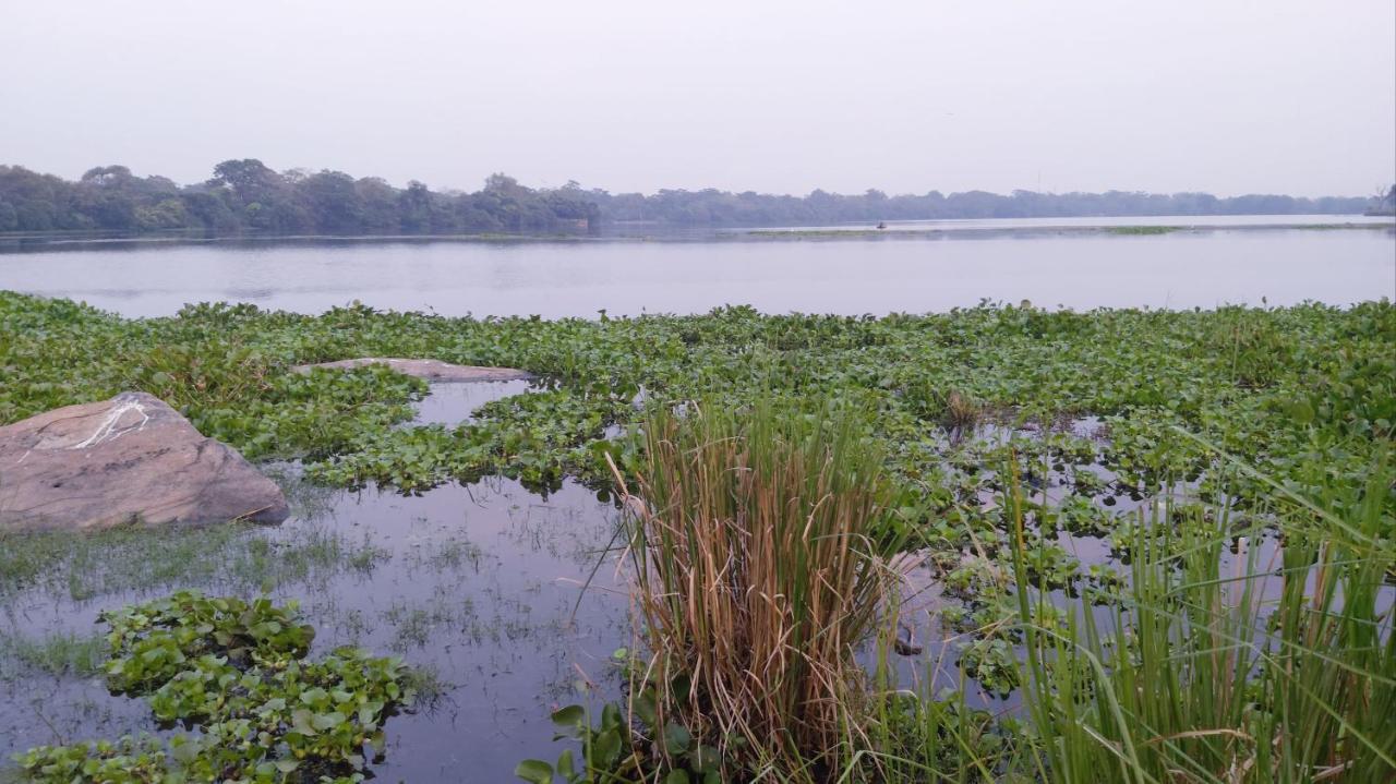 Lake Cabin 波隆纳鲁沃 外观 照片