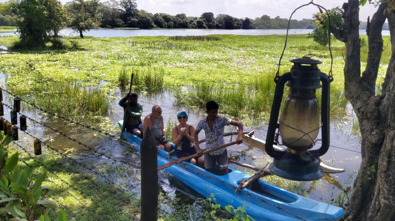 Lake Cabin 波隆纳鲁沃 外观 照片
