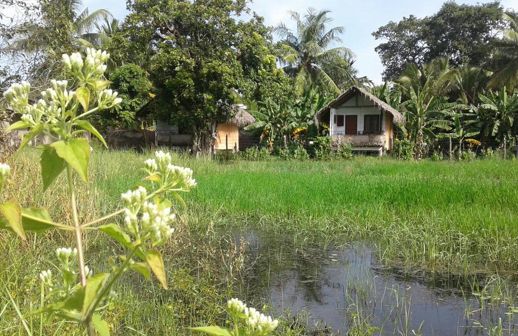 Lake Cabin 波隆纳鲁沃 外观 照片